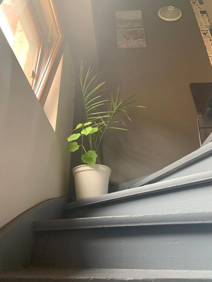 Trakia Street Apartment Plovdiv Bagian luar foto